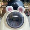 2Pcs Car Motorcycle Helmet Decoration Electric Bike Soft Plush Little Bear's Ears For Motocross Full Face Off Road Helmet Sticker