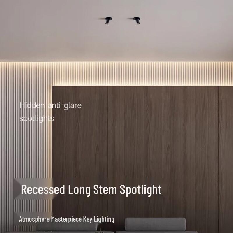 Oeny 12W High CRI LED Long-Nose Spotlight