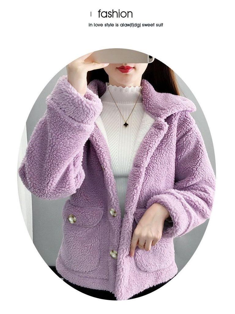 Women's Faux Lamb Wool Plush Coat - Korean-Style Loose Short Jacket for Autumn/Winter