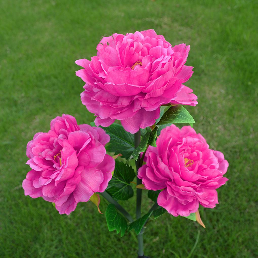 Solar Peony Flower Lamp Gift Choice For Garden Enthusiasts Gentle Illumination Peony Flower Lights