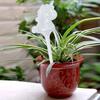 Automatic Flower Watering Balls Decorative Watering Spheres Indoor Outdoor Plants