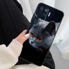 Grey British Shorthair Cat Case For Oppo A54 A74 A94 A18 A57 A17 A77 A38 A58 A78 A98 A80 A60 A40 A96 A76 A16 A15 A5 Pro