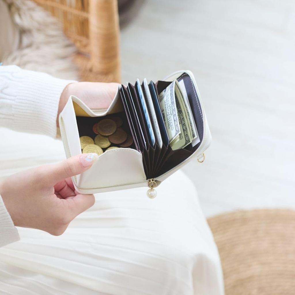 Raymay Fujii Nofes Accordion Card Mini Mocha NSH1454C Case, Wallet, Brown,