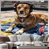 Vintage Cool Dog With Headphones Tapestry Rooftop Animal Wall Hanging For Bedroom Living Room Home Decor Background Cloth