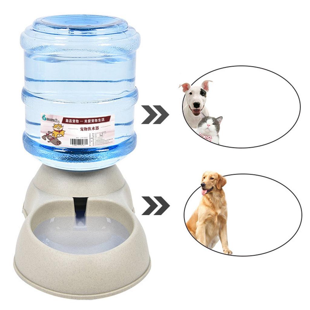 large dog waterer