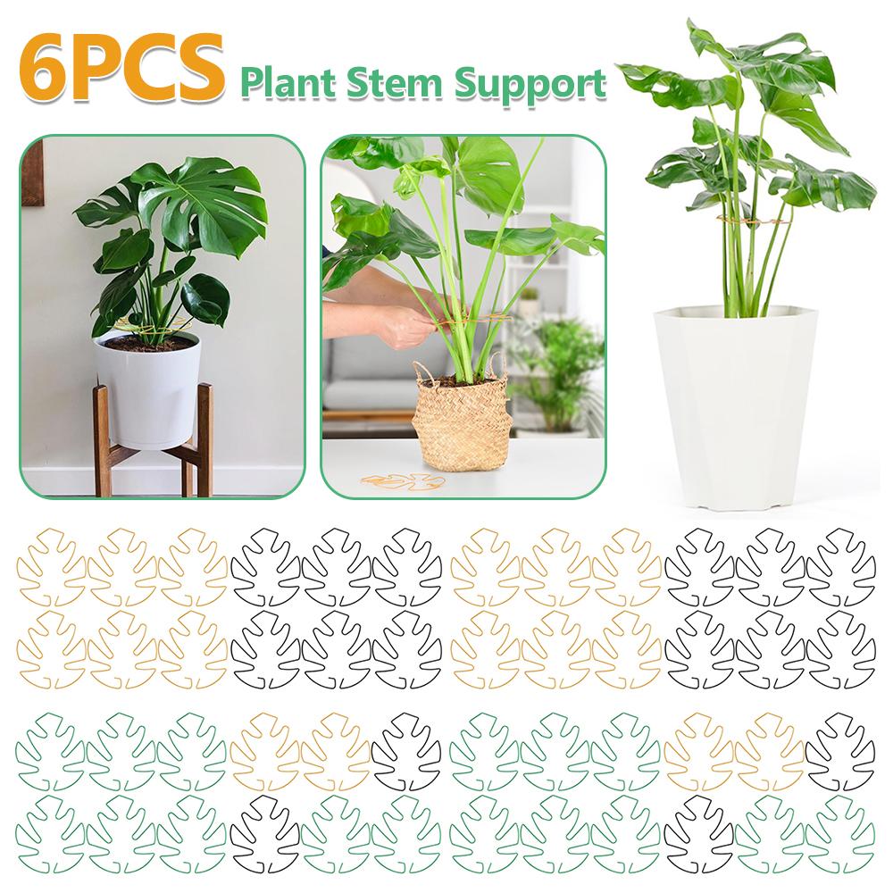 6Pcs Monstera Plant Support Plant Stem Support Monstera Stabilizer Grapple Holder Stem Support Ring Plant Accessories