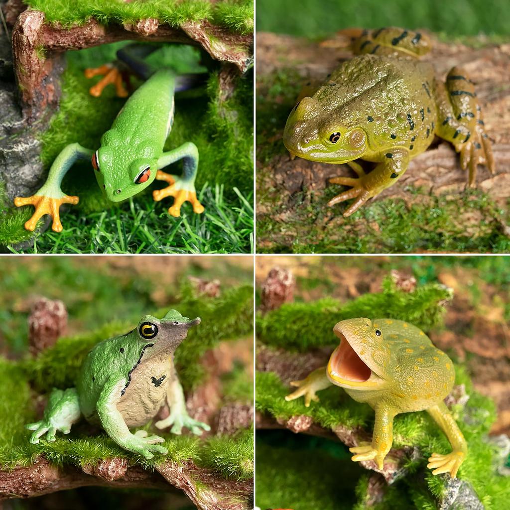 TOYMANY 12 Pièces Figurines de Grenouilles Ensemble de Figurines d'Animaux Modèle de Grenouille Figurine Modèle d'Animal Réaliste Jouet Cadeau d'Anniversaire Décoration Noël Nouvel An Collection
