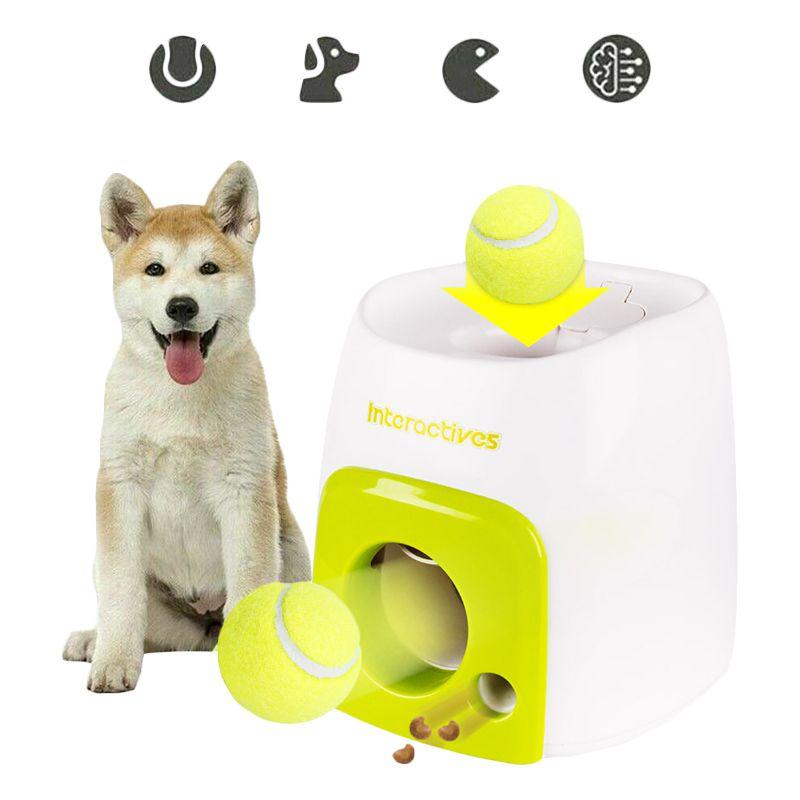 Educational Tennis Ball Hyper Game Training Machine For Active Dogs