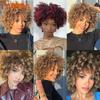 Short Hair Afro Kinky Curly Wig With Bangs African Synthetic Wigs For Black Women Ombre Natural High Temperature Black Brown