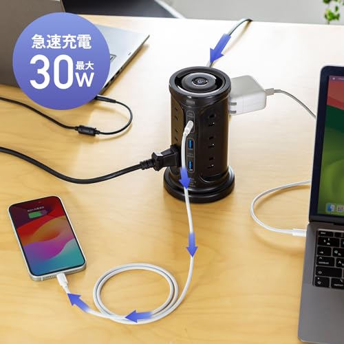 Sanwa Supply Tower-Style Power Strip with 12 AC Outlets, 2 USB-A Ports, and 1 Type-C Port, 2m Length, and a Centralized Switch, Black, TAP-B112C1A2BK