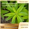 Moroccan Lemon Verbena Essential Oil Facial Serum for Aromatherapy and Moisturizing