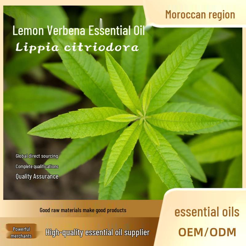 Moroccan Lemon Verbena Essential Oil Facial Serum for Aromatherapy and Moisturizing