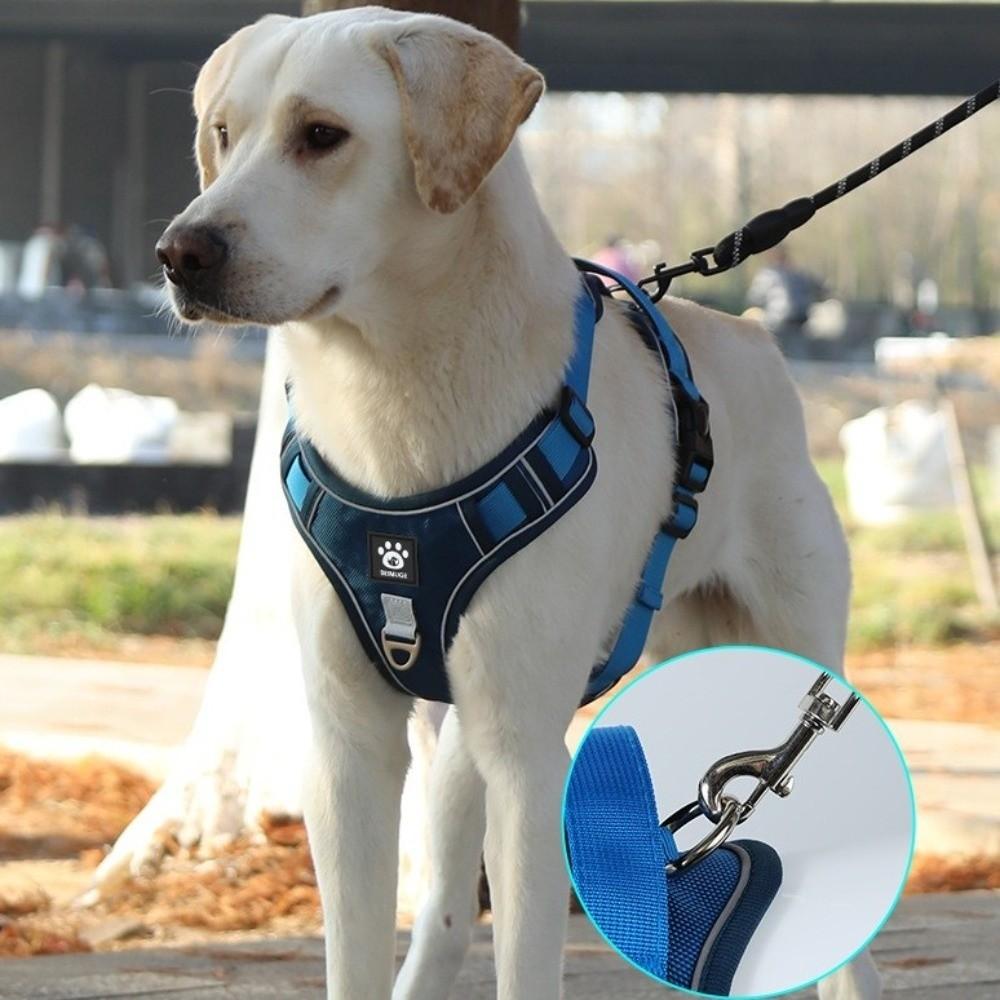 Multi-Point Adjustment Anti-Pull Dog Harness Reflective Dog Leash Dog Chest Strap  Daily Walks