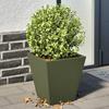 Vidaxl Donice Ogrodowe, 2 Szt., Oliwkowozielone, 30X30X30 Cm, Stalowe