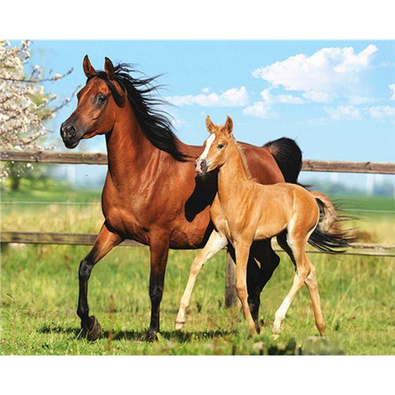 5D Diamond Painting Animals Cross Stitch Full Round Drill Painting Embroidery Craft Home Decor