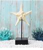 Ocean-Themed Mediterranean Decorations: Starfish, Seahorse, and Conch for Living Room or Restaurant