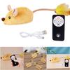 Interactive Cat Toy Electronic Mouse Moving Cat Toys Squeaky Cat Toys for Kitten Indoor/Outdoor Exercise