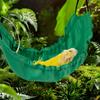 FineInno Reptology Lizard Hammock with Suction Cups Bearded Dragon Tank Accessories Reptile Lounger for Chameleon, Snakes, Lguana Reptiles, Geckos,