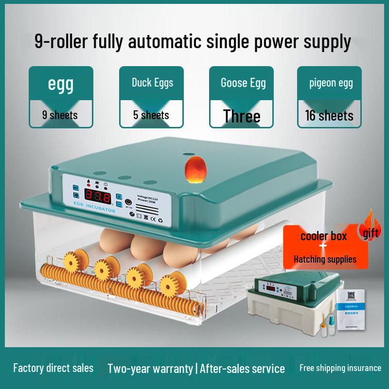Automatic Home Incubator for Chicken, Duck