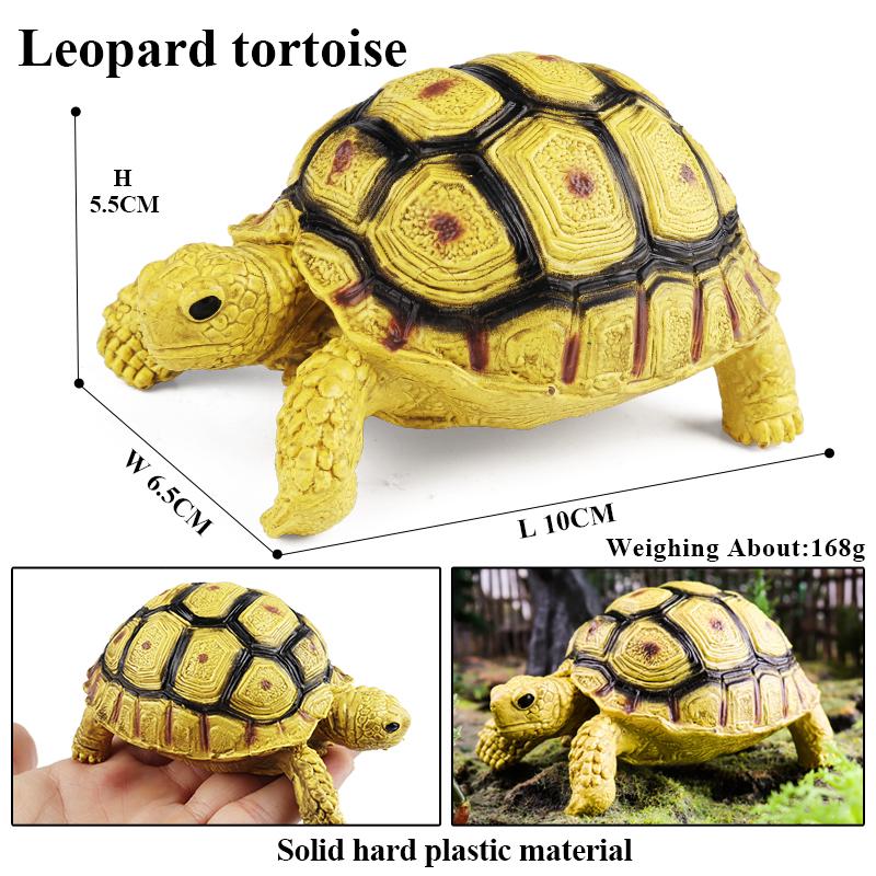 Oenux Sea Life Animals Model Leatherback Tortoise Turtle Growth Cycle Ocean Figurines Action Figures PVC Collection Kid Toy Gift