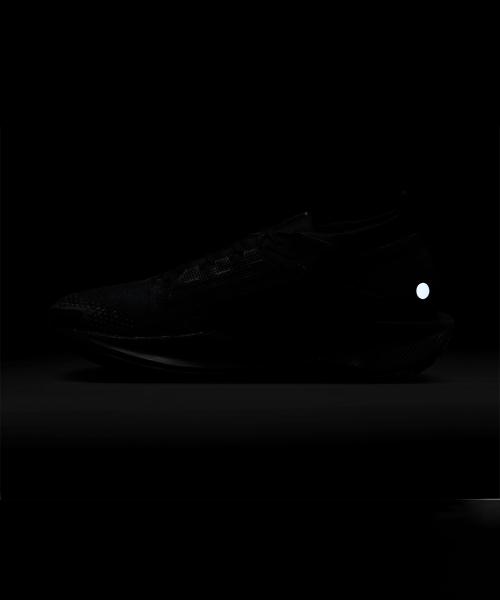 Nike Pegasus Trail 5 GORE-TEX M [FQ0908-002]