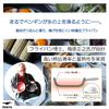King Frying Pan PENTA (Penta 2.0) 24cm Shallow Antique Gold Made in Japan 10-Year Warranty PFOA PFOS Free Gas and IH Compatible Detachable Handle