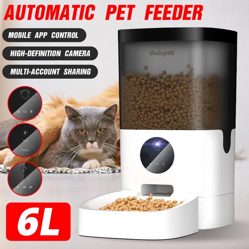 multi cat auto feeder