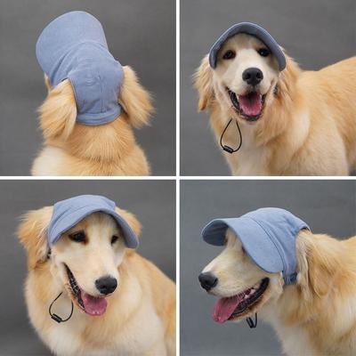 Giyim ve ayakkabı – Köpek için şapkalar