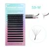 HOLLYLASH YY/W Shaped 2D 3D 4D 5D 6D Hand Woven Automatic Flowering Premade Volume Fans Eyelashes Extensions Individual Lashes