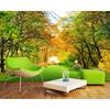 Fall Woods Trail Background Wallpaper Decorative Mural Living Room Bedroom Background 3d Wallpaper
