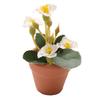 Miniature food toy plants, potted plants, mini models, artificial flowers 12 parts ob11 Gardening dollhouse Ceramics diy