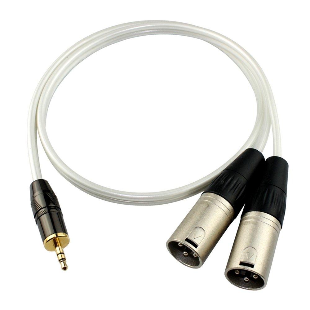 XLR Cable, Microphone Cable, Canon Conversion Cable, Audio Cable, Stereo Cable, 3.5mm Plug (Male) to 2XLR Plug (Male), Stereo Mini Plug Male-Male (1m)