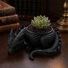 DYS 3D Printed Lying Dragon Flowerpot for Small Green Plants, Decorative Succulents Pot Ornament, Dark Style Figurine Home Office Desktop