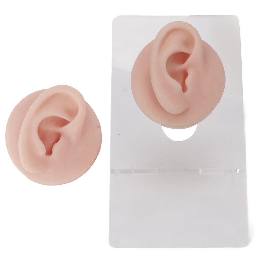 Ear Model Soft Silicone High Simulation Clear Structure Human Ear Model for Piercing Practice