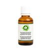 R V Essential Trachyspermum Amoni Reines Ajwain Ätherisches Öl 15ml