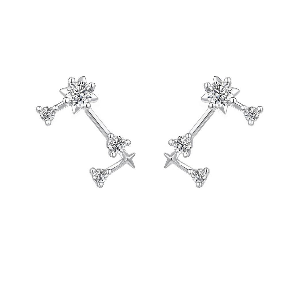 Korean Fashion Twelve Constellation Earrings for Women S925 Sterling Silver Exquisite Sparkling Zircon Earrings