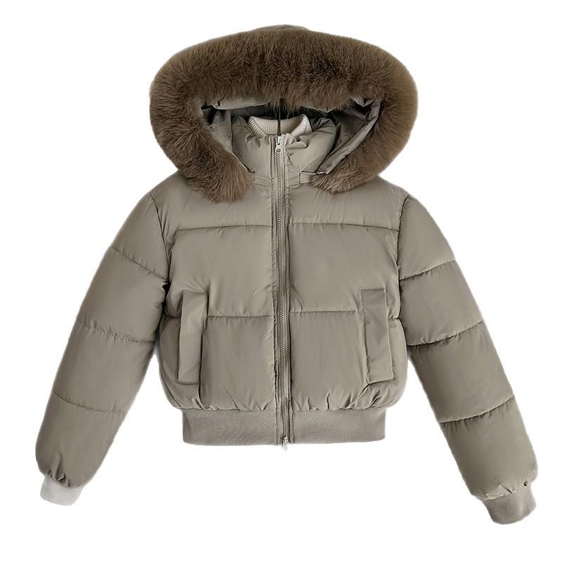 Winter neue Mode vielseitige Kapuzen-Daunen-Baumwollkleidung kurz großer Pelzkragen verdickt locker kleiner Mantel