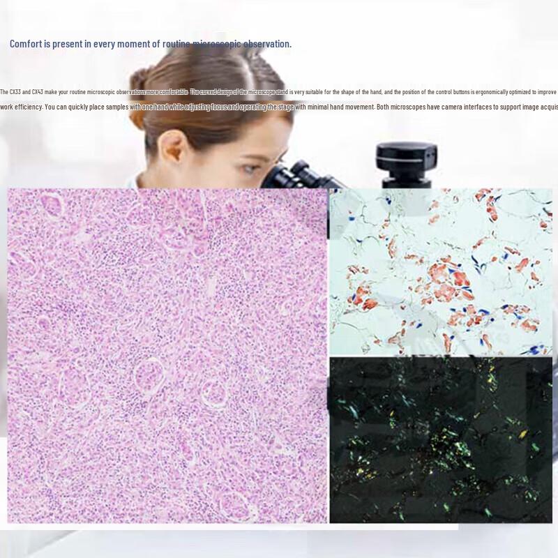 Olympus CX23 Upright Binocular Biological Microscope