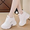 Inner Heightening Dad Shoes Women's 2 Spring and Autumn New Thick-soled Versatile Women's Breathable Casual Sports Shoes