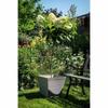 Plant Pot Garden ID Taupe Squared 29 X 26 Cm