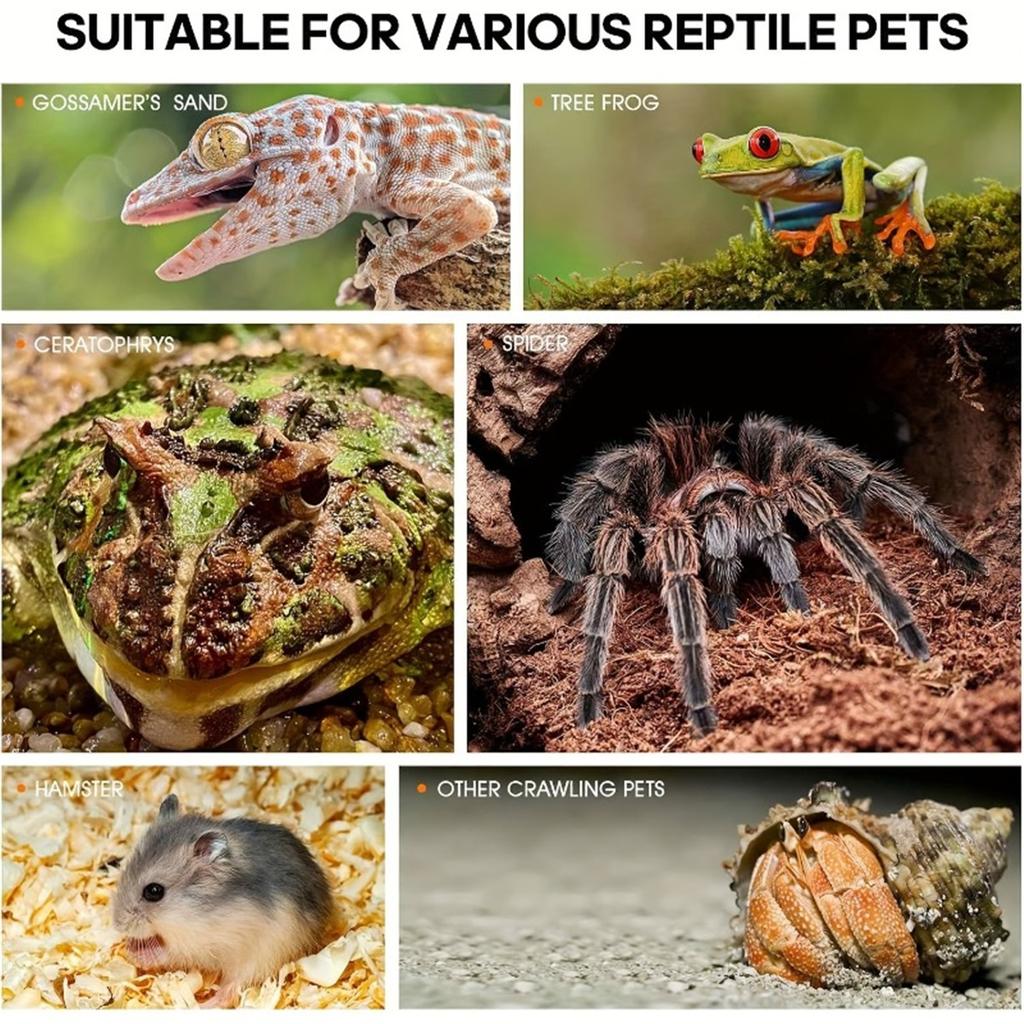 Reptile Acrylic Enclosure High Transparency Habitat Tank for Spider Mantis Gecko Corn Snake Breeding Box with Ventilation Holes