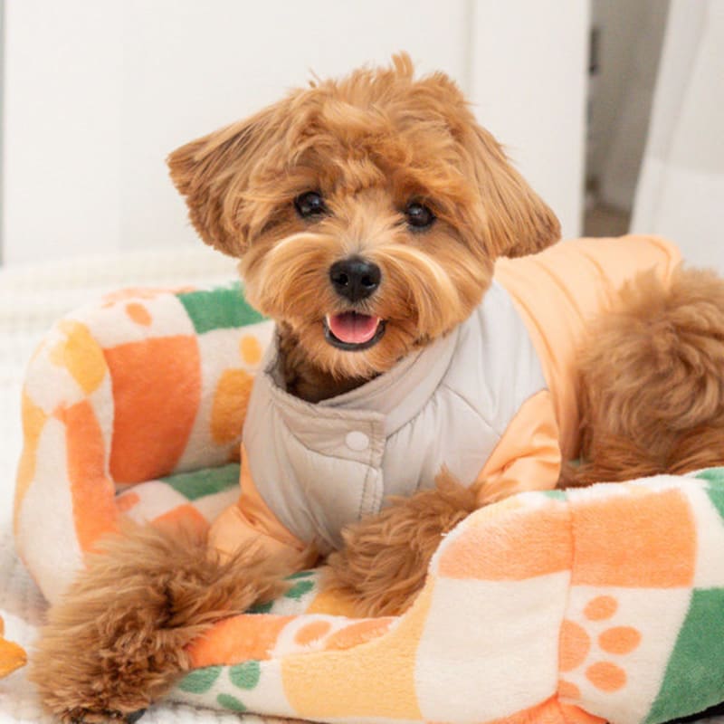 [Haustier] Polsterung All-In-One L