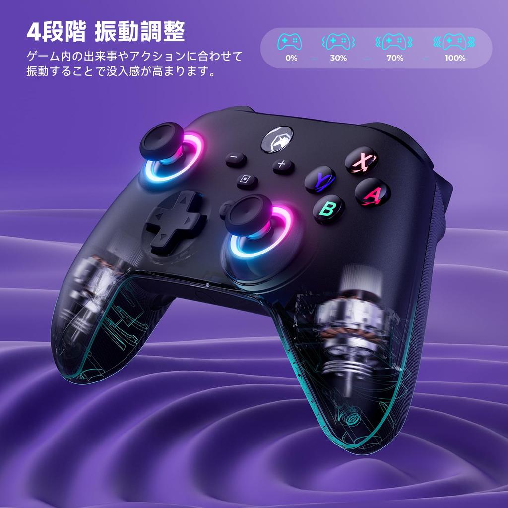 Switch RGB Turbo Rapid Back Vibration 1000mAh Pro Black Controller, Wireless/Wired, 6-Axis Gyro, Wireless, Lights, Fire, Buttons, 4-Level Adjustment,