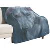 Whippet Throw Blanket Year Round Soft Comfortable Blanket for Home