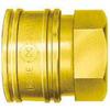 TSP Type Coupler Socket 6TSF Brass