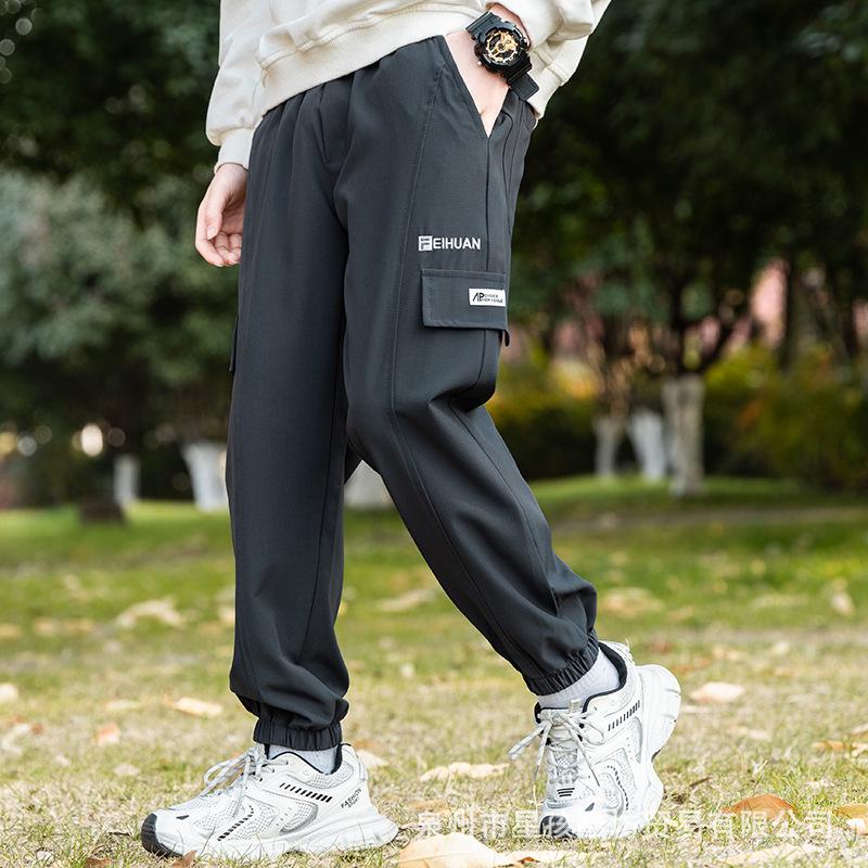 

Мужские брюки карго из ледяного шелка 2025: Весенне-летняя ветровка с защитой от комаров, альпинистские брюки с манжетами для активного отдыха 170 cm темно-серого