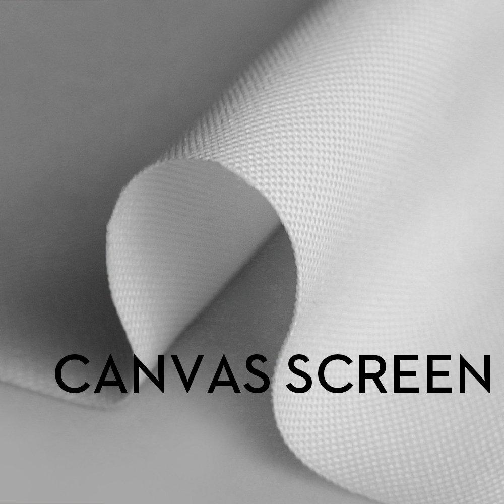 Projector Screen 200 Inch Size Portable Large Size Easy to Carry Movie Screen Outdoor Indoor Projection Conference Classroom Washable Foldable 169