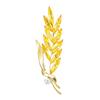 Delicate Ear of Wheat Brooches Women's Dainty Crystal Pin Accessory Trendy Pins Jewelry for Daily Wear Parties Dates