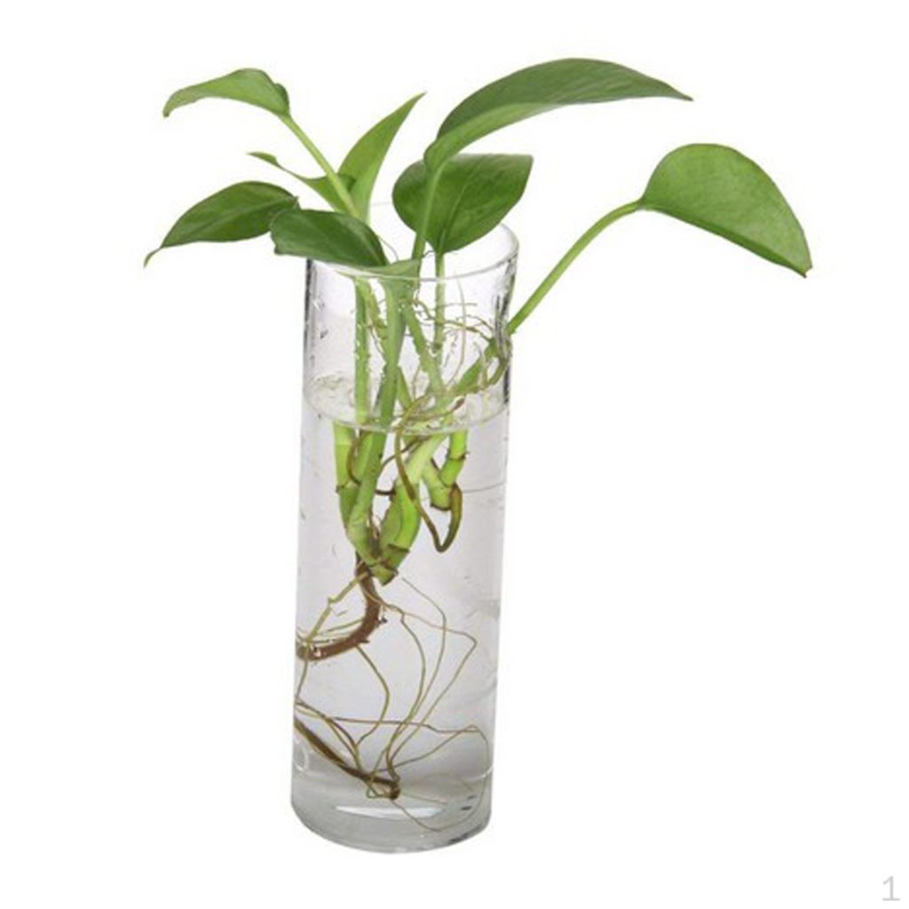 Стеклянная ваза квадратный цветочный горшок аквариум террариум настенный Square 25cm