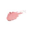 Osaji Nuance Face Color Non-sticky Blends into Skin Sheer Finish Moisturizing Translucent Luster 5.5g 09 Sasayaki